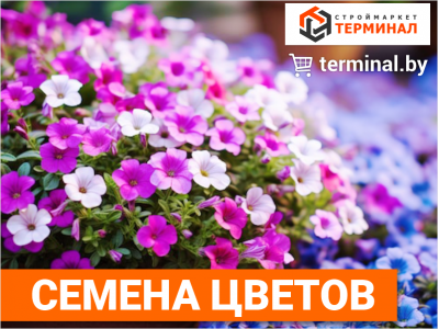 Все семена для яркой клумбы в одном месте!