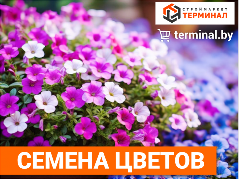 Все семена для яркой клумбы в одном месте!