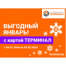 Выгодный январь с картой ТЕРМИНАЛ