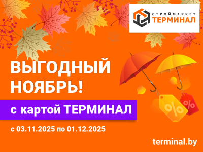 Выгодный ноябрь с картой ТЕРМИНАЛ Выгодный ноябрь с картой ТЕРМИНАЛ