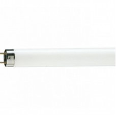 Лампа люминесцентная Philips, TL-D 18W/33-640 18Вт 18 4100К G13, Россия