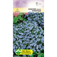 Лобелия эринус Кембридж 0.05г, Германия