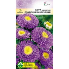 Астра Помпонная Сиреневая 0.3г, Германия