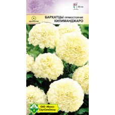 Бархатцы прям Килиманджаро 15шт, РБ