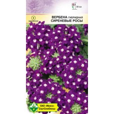 Вербена гибридная Сиреневые росы 0.1г, Германия