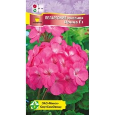 Пеларгония зональная Ирина F1 4шт, Чехия