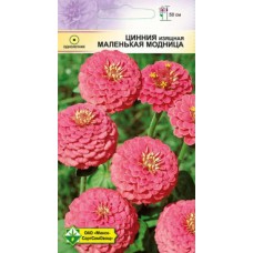 Цинния изящная Лилипутовая Маленькая модница 0.5г, Германия
