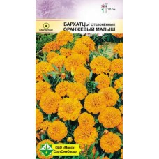 Бархатцы отклонённые Оранжевый малыш 0.3г, Германия
