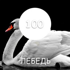 Краска резиновая Maxima №100 Лебедь 1кг 82388, Россия