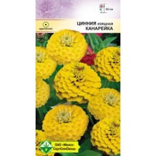 Цинния изящная Лилипутовая Канарейка 0.5г, Германия