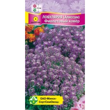 Лобулярия морская Фиолетовый ковер 0.2г, Германия