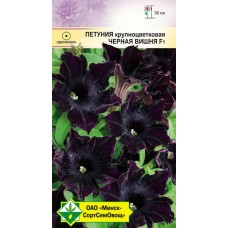 Петуния гибридная крупноцветная Чёрная вишня F1 5шт, Чехия