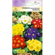 Примула Селекта см 0.05г, Германия