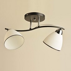 Светильник НПБ 02-2x60-101 8208/2 черный/хром, Беларусь