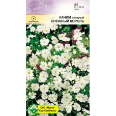 Качим изящный Снежный король 0.5г, Германия