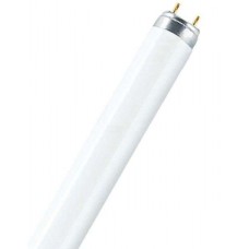 Лампа люминесцентная L 36W/765 G13 дневного цв. OSRAM смол., РФ