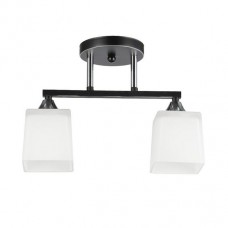 Светильник НПБ 02-2x60-101 5017/2 черный/хром, Беларусь