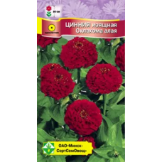 Цинния изящная Оклахома Алая 0.2г, Чехия