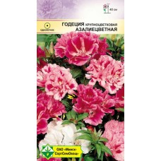 Годеция крупноцветковая Азалиецветная см 0.3г, Германия