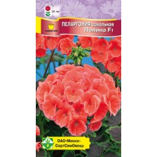 Пеларгония зональная Полина F1 4шт, Чехия