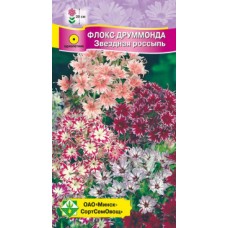 Флокс Друммонда Звездная россыпь см 0.3г, Германия