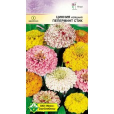 Цинния изящная Пеперминт стик 0.5г, Германия