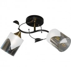 Светильник НПБ 02-2х60-101 6538/2 чёрный/медь, Беларусь