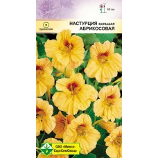 Настурция большая Абрикосовая 1г, Германия