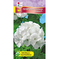 Пеларгония зональная Алина F1 4шт, Чехия