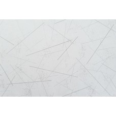 Обои Аспект Ру виниловые на флизелиновой основе Вектор 1,06х10,05 10944-01, Россия