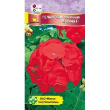 Пеларгония зональная Марина F1 4шт, Чехия