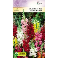 Львиный зев Царь зверей 0.2г, Германия