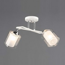 Светильник НПБ 02-2x60-101 N6652/2 белый/хром, Беларусь