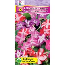Бальзамин Уоллера Акцент Цветные звезды F1 7шт, Германия