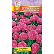 Астра Карликовая Розовое очарование 0.3г, Германия